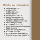 Teste De Perfil Comportamental Planilhas Disc Excel Rh