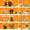 Pack 100 Pet Shop Arts Editable Corel Cdr
