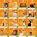 Pack 100 Pet Shop Arts Editable Corel Cdr